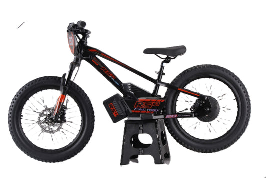 Draisienne électrique RS Factory FXB01-20 Cross
