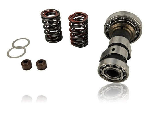 Arbre à came racing + ressorts renforcés pour Daytona 125 / 125 zongshen Fiddy