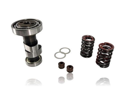 Arbre à came racing + ressorts renforcés pour Daytona 125 / 125 zongshen Fiddy
