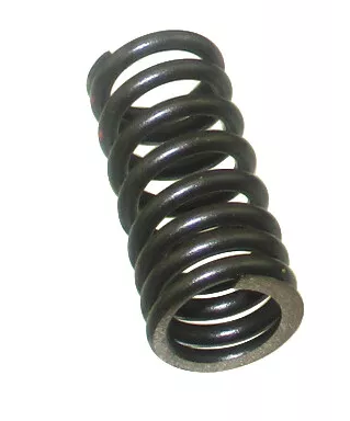 Ressort de soupape pour daytona anima 4s