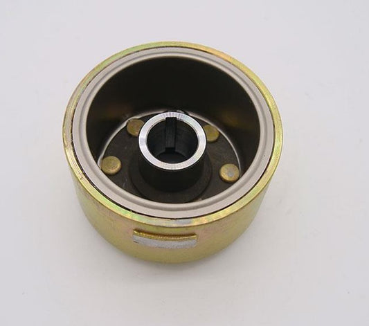 Rotor d'allumage Daytona Anima FSM