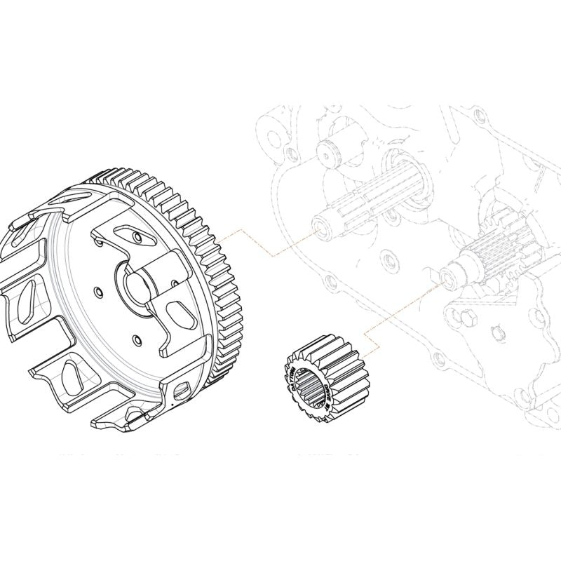 Transmission primaire Racing Daytona Anima 65-19 dents