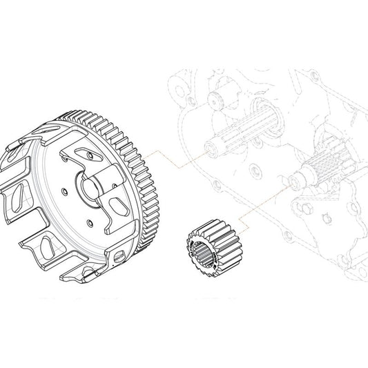 Transmission primaire Racing Daytona Anima 65-19 dents