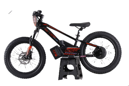 Draisienne électrique RS Factory FXB01-20 Cross