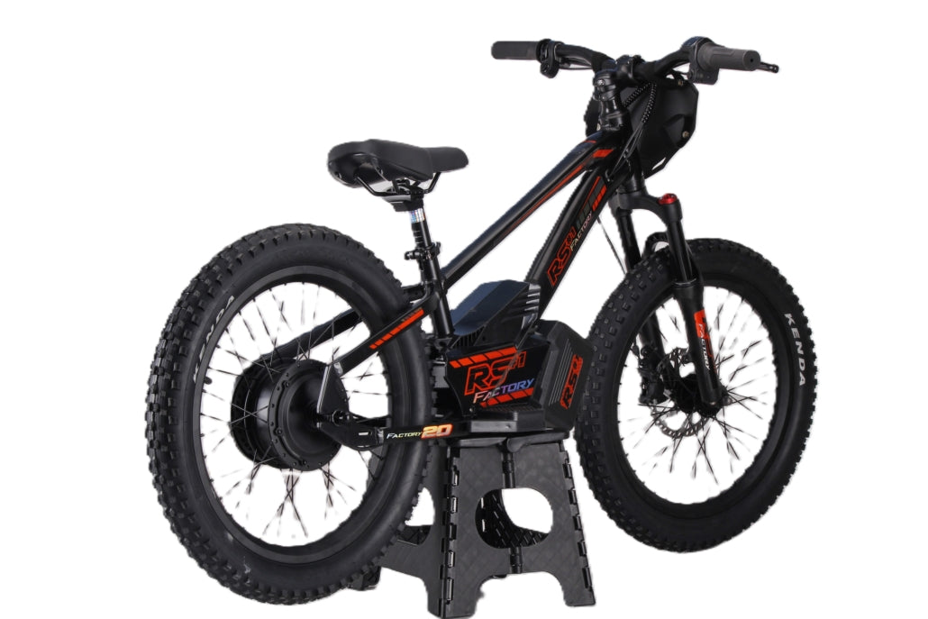 Draisienne électrique RS Factory FXB01-20 Cross