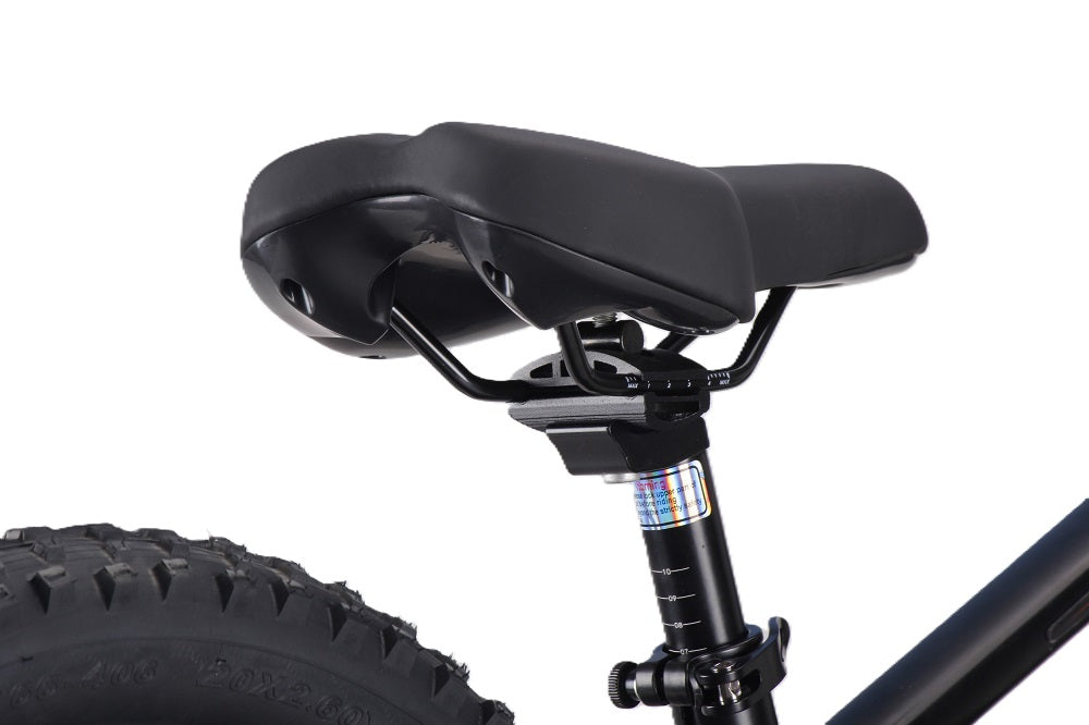 Draisienne électrique RS Factory FXB01-20 Cross