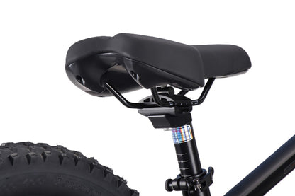 Draisienne électrique RS Factory FXB01-20 Cross