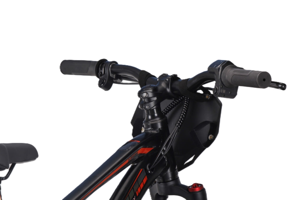 Draisienne électrique RS Factory FXB01-20 Cross