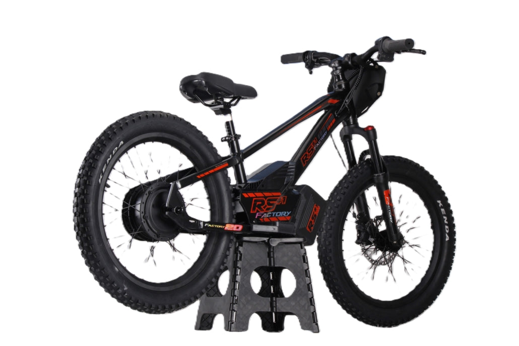Draisienne électrique RS Factory FXB01-20 Cross
