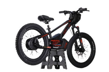 Draisienne électrique RS Factory FXB01-20 Cross