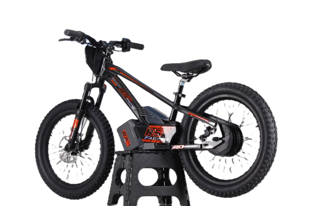 Draisienne électrique RS Factory FXB01-20 Cross