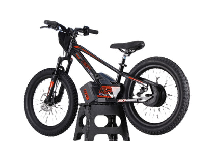 Draisienne électrique RS Factory FXB01-20 Cross