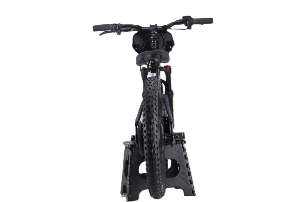 Draisienne électrique RS Factory FXB01-20 Cross