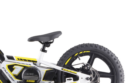 Draisienne électrique RS Factory FXB01-16PLUS