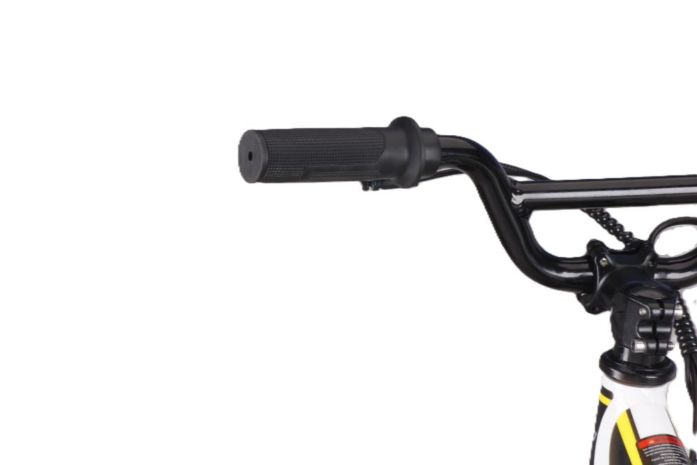 Draisienne électrique RS Factory FXB01-16PLUS