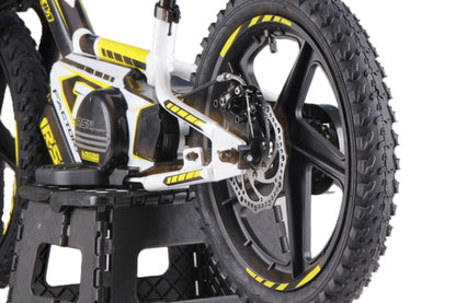 Draisienne électrique RS Factory FXB01-16PLUS