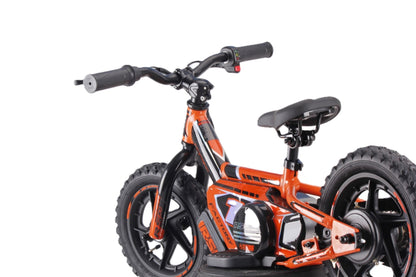 Draisienne électrique RS Factory FXB01-12PLUS