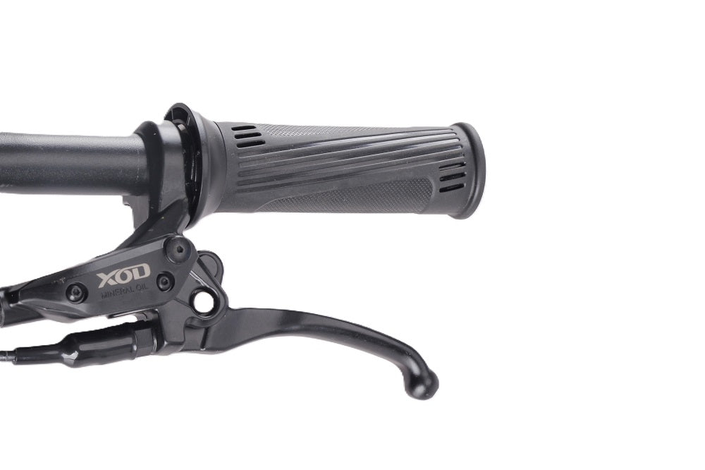 Draisienne électrique RS Factory FXB01-20 Cross