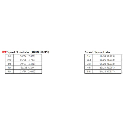 Boite 5 vitesses Racing piste Daytona Anima 190 renforcée 16mm