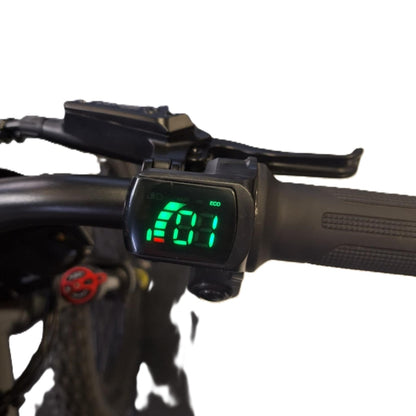 Draisienne électrique RS Factory FXB01-20 Cross