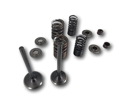 Kit soupapes 190 zongshen