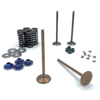 Kit soupapes titane DAYTONA ANIMA 4V